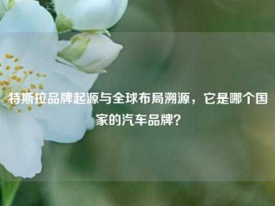 特斯拉品牌起源与全球布局溯源，它是哪个国家的汽车品牌？