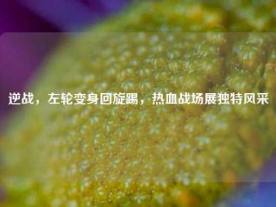 逆战，左轮变身回旋踢，热血战场展独特风采