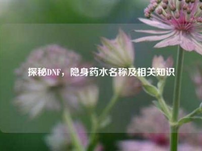 探秘DNF，隐身药水名称及相关知识