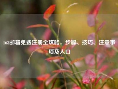 163邮箱免费注册全攻略，步骤、技巧、注意事项及入口