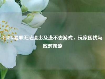 PUBG黑屏无法退出及进不去游戏，玩家困扰与应对策略