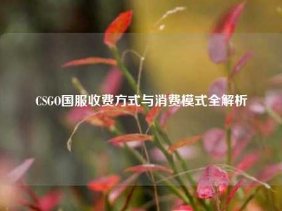 CSGO国服收费方式与消费模式全解析