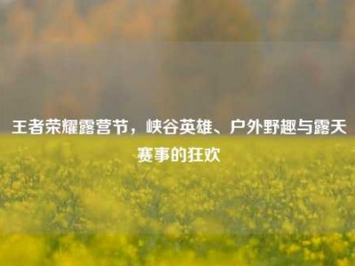 王者荣耀露营节，峡谷英雄、户外野趣与露天赛事的狂欢