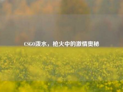 CSGO泼水，枪火中的激情奥秘
