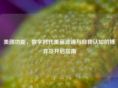 美颜功能，数字时代美丽滤镜与自我认知的博弈及开启指南