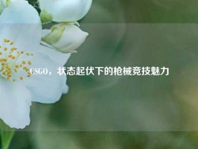 CSGO，状态起伏下的枪械竞技魅力