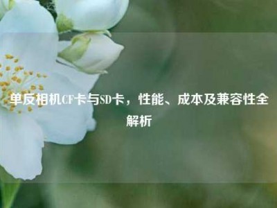 单反相机CF卡与SD卡，性能、成本及兼容性全解析