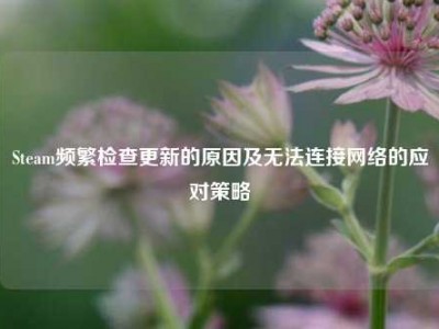 Steam频繁检查更新的原因及无法连接网络的应对策略
