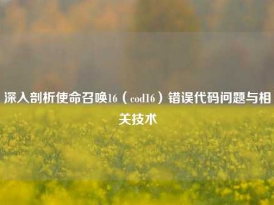 深入剖析使命召唤16（cod16）错误代码问题与相关技术