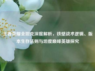 王者荣耀全坦克深度解析，铁壁战术逻辑、版本生存法则与坦度巅峰英雄探究