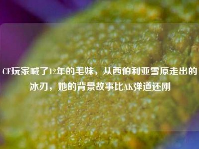 CF玩家喊了12年的毛妹，从西伯利亚雪原走出的冰刃，她的背景故事比AK弹道还刚