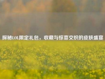 探秘LOL限定礼包，收藏与惊喜交织的皮肤盛宴