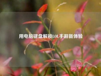 用电脑键盘解锁LOL手游新体验