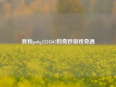 我和pubg1234567的奇妙游戏奇遇
