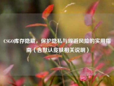 CSGO库存隐藏，保护隐私与规避风险的实用指南（含默认皮肤相关说明）