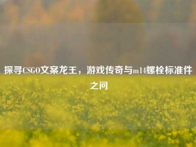 探寻CSGO文案龙王，游戏传奇与m14螺栓标准件之问