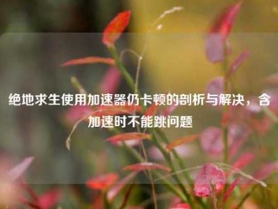 绝地求生使用加速器仍卡顿的剖析与解决，含加速时不能跳问题