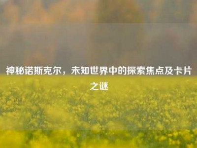 神秘诺斯克尔，未知世界中的探索焦点及卡片之谜