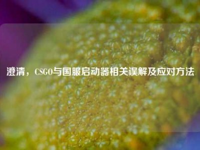 澄清，CSGO与国服启动器相关误解及应对方法