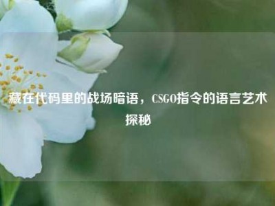 藏在代码里的战场暗语，CSGO指令的语言艺术探秘