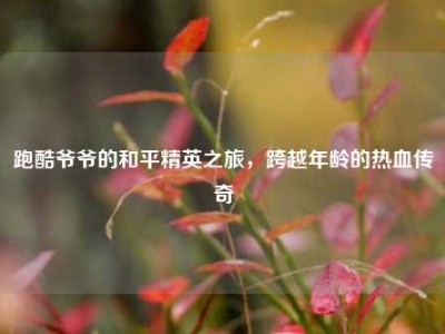 跑酷爷爷的和平精英之旅，跨越年龄的热血传奇