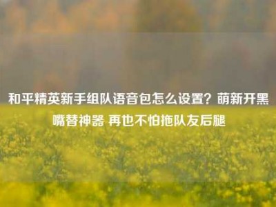和平精英新手组队语音包怎么设置？萌新开黑嘴替神器 再也不怕拖队友后腿