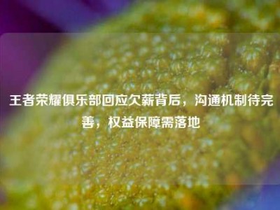 王者荣耀俱乐部回应欠薪背后，沟通机制待完善，权益保障需落地