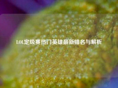 LOL定级赛热门英雄最新排名与解析