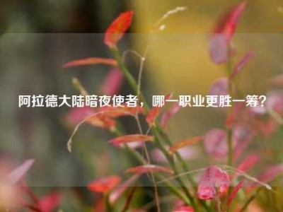 阿拉德大陆暗夜使者，哪一职业更胜一筹？