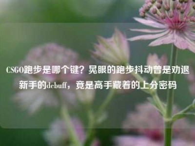 CSGO跑步是哪个键？晃眼的跑步抖动曾是劝退新手的debuff，竟是高手藏着的上分密码