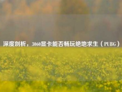 深度剖析，3060显卡能否畅玩绝地求生（PUBG）