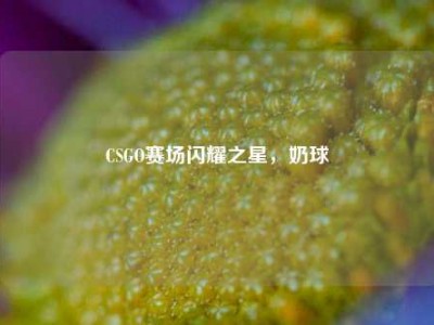 CSGO赛场闪耀之星，奶球