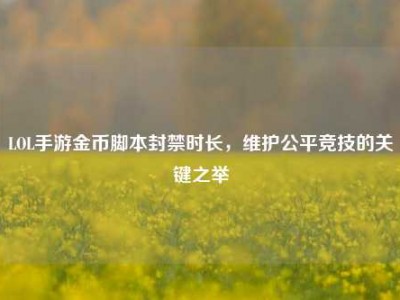 LOL手游金币脚本封禁时长，维护公平竞技的关键之举