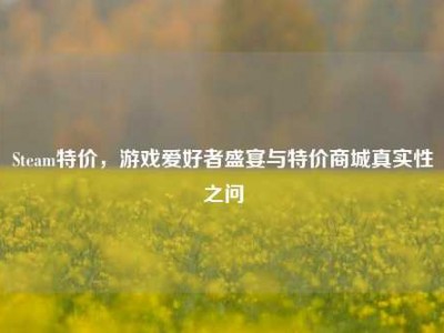 Steam特价，游戏爱好者盛宴与特价商城真实性之问