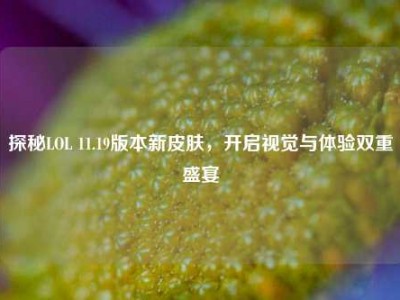 探秘LOL 11.19版本新皮肤，开启视觉与体验双重盛宴