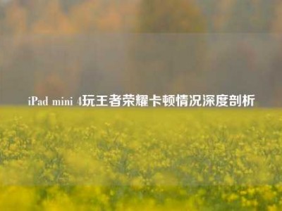 iPad mini 4玩王者荣耀卡顿情况深度剖析
