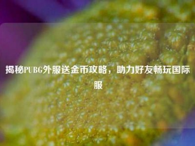 揭秘PUBG外服送金币攻略，助力好友畅玩国际服