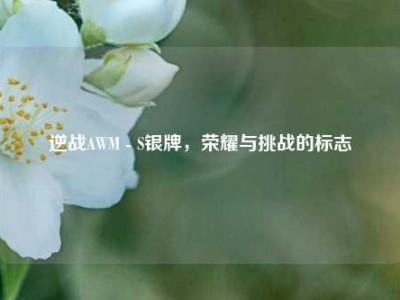 逆战AWM - S银牌，荣耀与挑战的标志