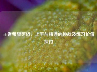 王者荣耀阿轲，上手与精通的挑战及练习价值探讨