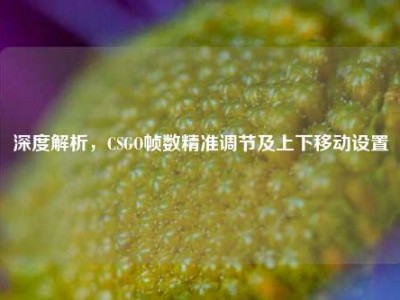 深度解析，CSGO帧数精准调节及上下移动设置