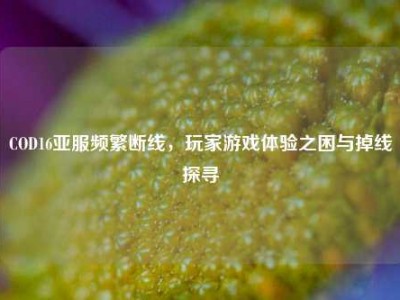COD16亚服频繁断线，玩家游戏体验之困与掉线探寻