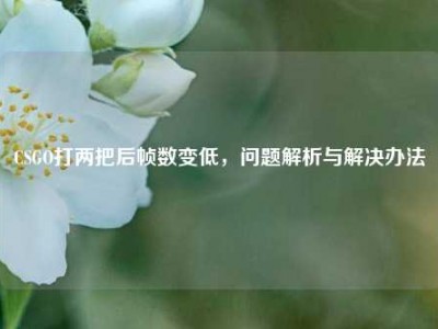 CSGO打两把后帧数变低，问题解析与解决办法