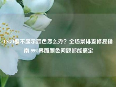 CSGO框不显示颜色怎么办？全场景排查修复指南 99%界面颜色问题都能搞定