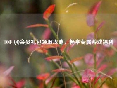 DNF QQ会员礼包领取攻略，畅享专属游戏福利