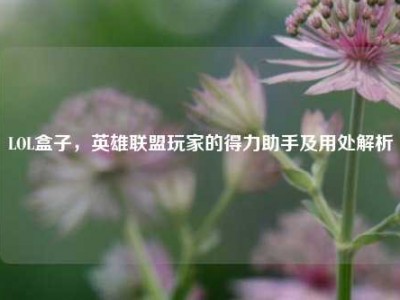 LOL盒子，英雄联盟玩家的得力助手及用处解析