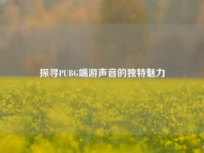 探寻PUBG端游声音的独特魅力