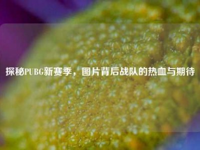探秘PUBG新赛季，图片背后战队的热血与期待