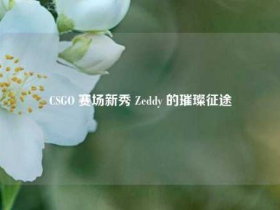 CSGO 赛场新秀 Zeddy 的璀璨征途