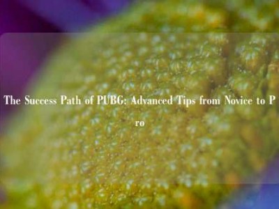 The Success Path of PUBG: Advanced Tips from Novice to Pro