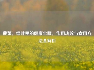 菠菜，绿叶里的健康宝藏，作用功效与食用方法全解析